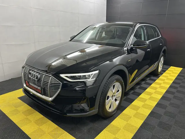 Audi e-tron 50 quattro basis+LED+Navi+Tempo+Digital – Gebrauchtwagen bei Your Next Car in Ostrhauderfehn